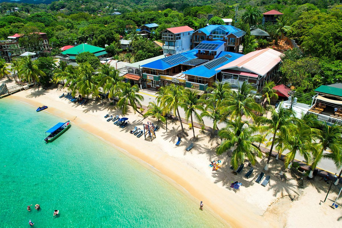 Vista aérea de una playa de Roatán con palmeras y aguas turquesas